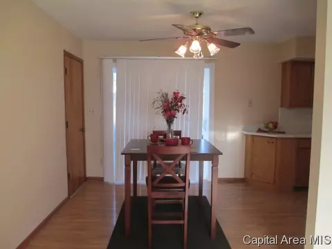 24 Birch Dr, Chatham, IL 62629 photo 8