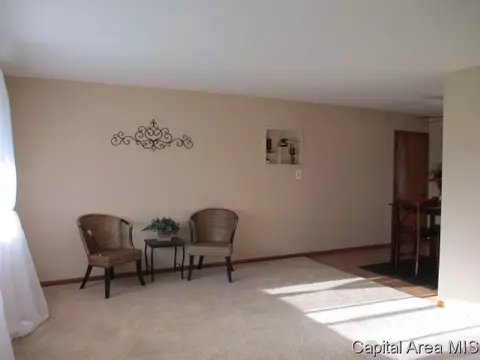 24 Birch Dr, Chatham, IL 62629 photo 4