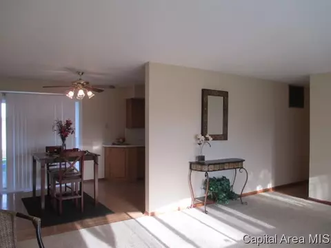 24 Birch Dr, Chatham, IL 62629 photo 5