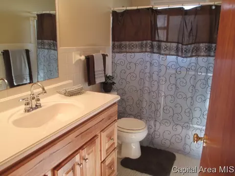 24 Birch Dr, Chatham, IL 62629 photo 13