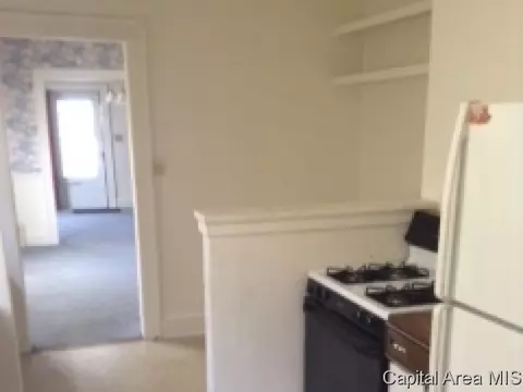 408 W Canedy, Springfield, IL 62704 photo 7