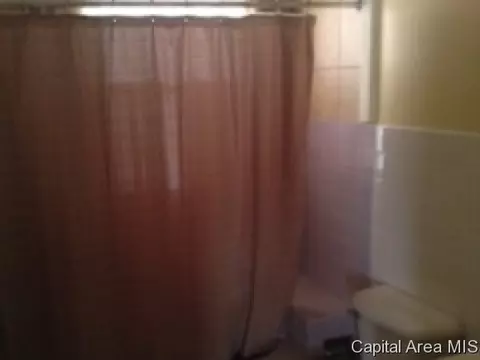 408 W Canedy, Springfield, IL 62704 photo 9