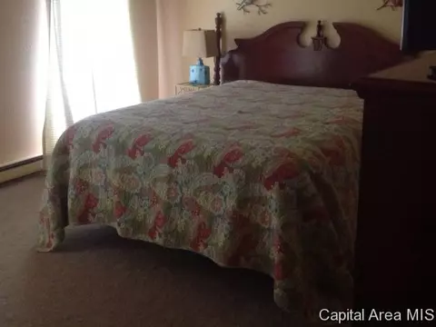 96 Drawbridge Rd, Springfield, IL 62704 photo 9