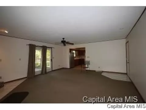 320 Old Tippecanoe Dr, Springfield, IL 62711 photo 11