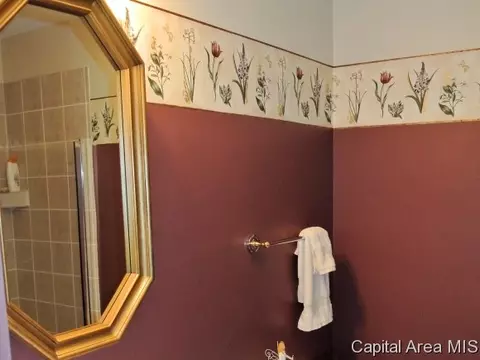408 Barons Rd, Springfield, IL 62704 photo 16