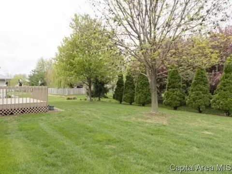 2805 Findley Dr, Springfield, IL 62704 photo 19