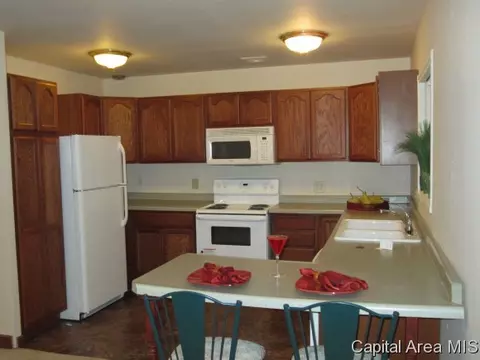 2400 E Dover Dr, Springfield, IL 62703 photo 12