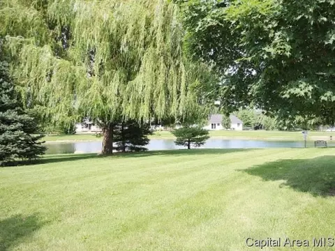 104 Resina Dr, Springfield, IL 62703 photo 24
