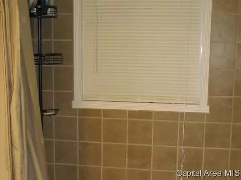 3011 S Thayer St, Springfield, IL 62704 photo 4