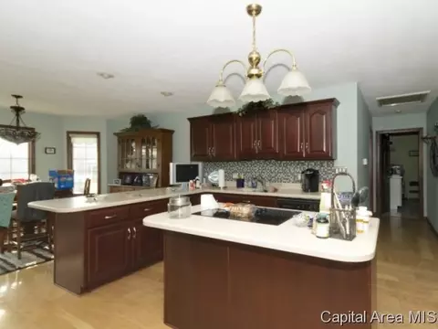 2512 Sage Ln, Springfield, IL 62711 photo 5