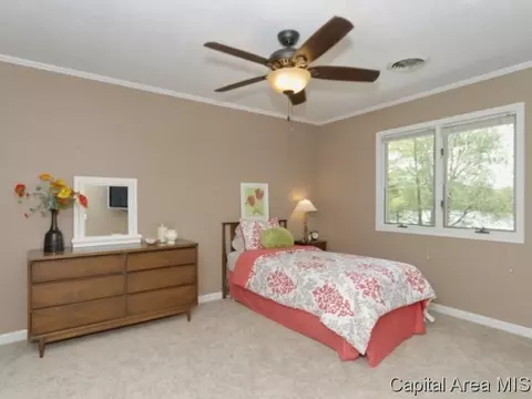 48 W Fairview Ln, Springfield, IL 62711 photo 12