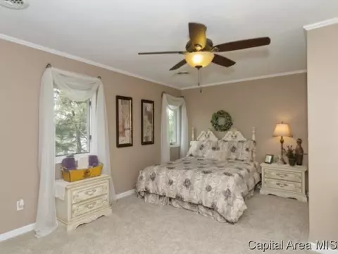 48 W Fairview Ln, Springfield, IL 62711 photo 11