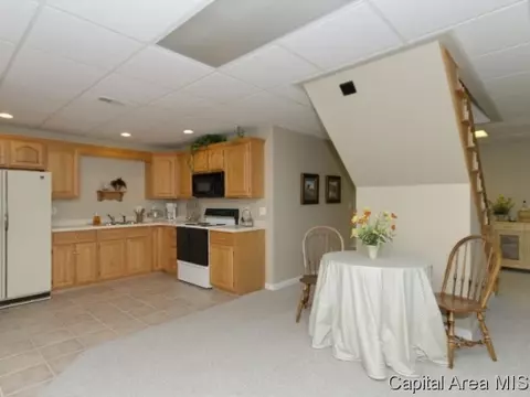 48 W Fairview Ln, Springfield, IL 62711 photo 19