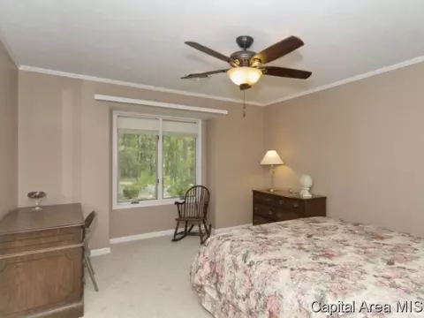 48 W Fairview Ln, Springfield, IL 62711 photo 13