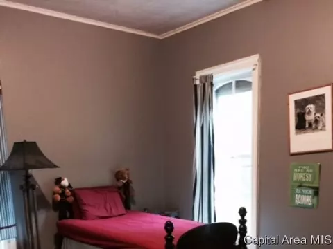 329 E Tanner St, Waverly, IL 62692 photo 13