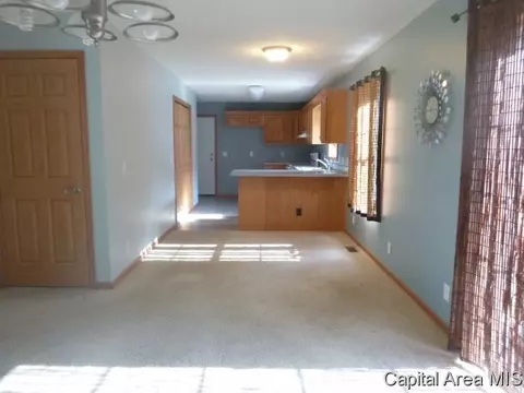 1516 Selinger St, Springfield, IL 62702 photo 5