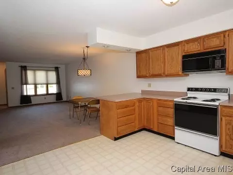 5234 Carlton, Springfield, IL 62703 photo 7