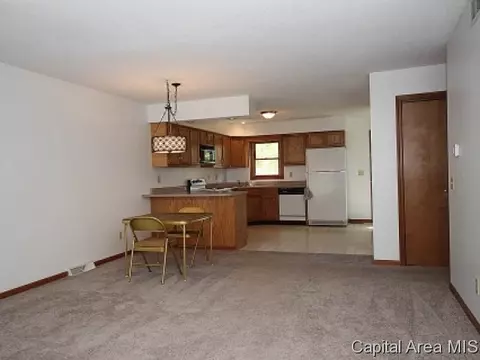 5234 Carlton, Springfield, IL 62703 photo 8