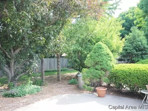 2519 Cherry Rd, Springfield, IL 62704 photo 23