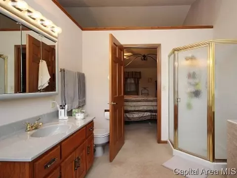 3913 W Bluffs Rd, Springfield, IL 62711 photo 20