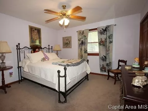 3913 W Bluffs Rd, Springfield, IL 62711 photo 13