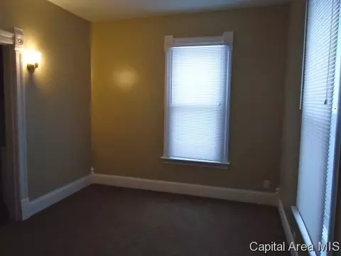 1317 N 4th St, Springfield, IL 62702 photo 15