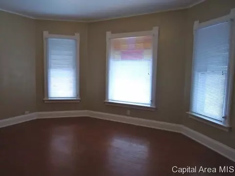 1317 N 4th St, Springfield, IL 62702 photo 5