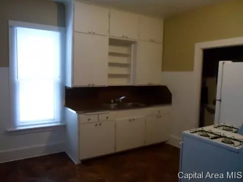 1317 N 4th St, Springfield, IL 62702 photo 9