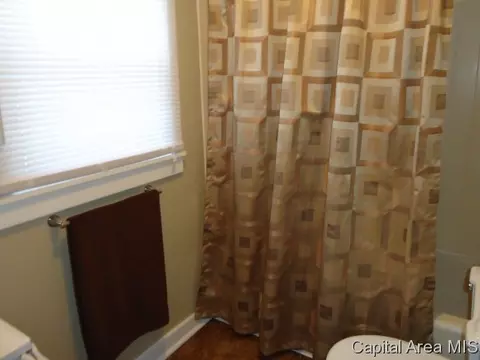 1317 N 4th St, Springfield, IL 62702 photo 18
