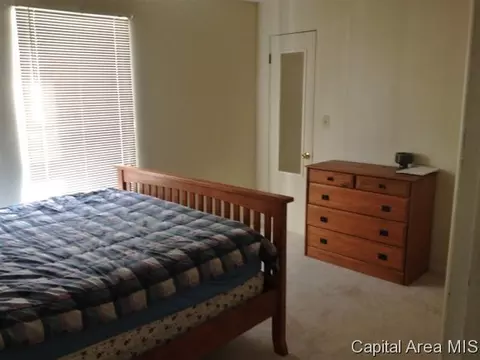 3208 S Carman Ave, Springfield, IL 62703 photo 13
