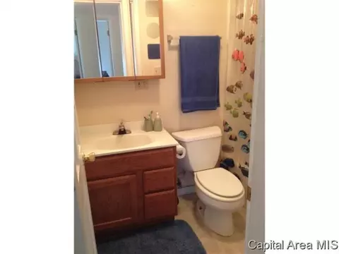 3208 S Carman Ave, Springfield, IL 62703 photo 11