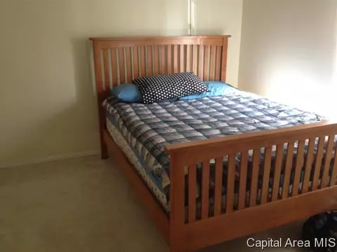 3208 S Carman Ave, Springfield, IL 62703 photo 12