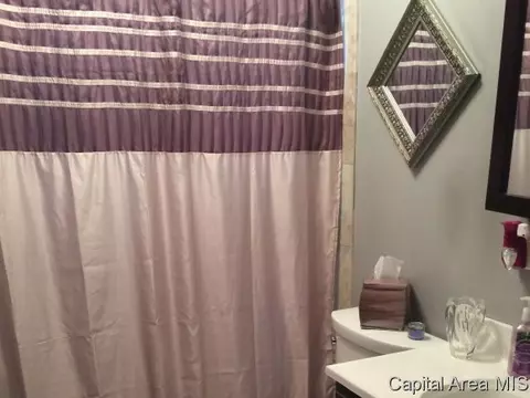 1930 Grant Street St, Springfield, IL 62703 photo 18