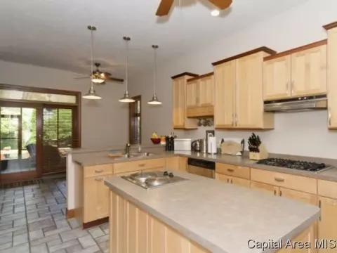 2309 Mariners Pt, Springfield, IL 62712 photo 9