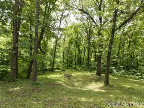 3224 Hazlett, Springfield, IL 62707 photo 22