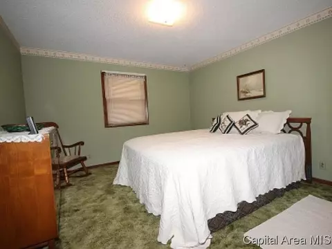 1337 E Black, Springfield, IL 62702 photo 8