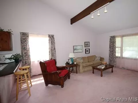 1337 E Black, Springfield, IL 62702 photo 2