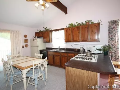 1337 E Black, Springfield, IL 62702 photo 6
