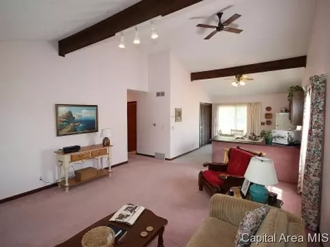 1337 E Black, Springfield, IL 62702 photo 4