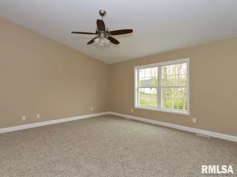 920 Pheasant Run, Sherman, IL 62684 photo 11