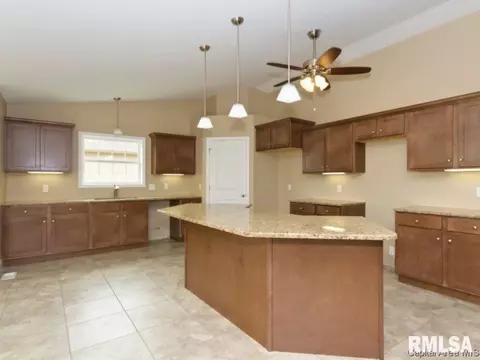 920 Pheasant Run, Sherman, IL 62684 photo 5