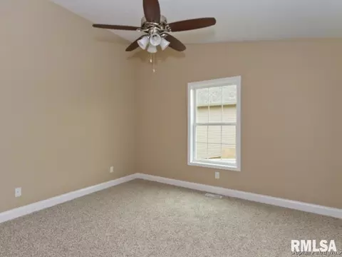 920 Pheasant Run, Sherman, IL 62684 photo 14