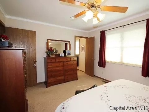 116 Post Rd, Virden, IL 62690 photo 12