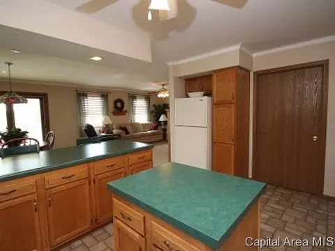 116 Post Rd, Virden, IL 62690 photo 3
