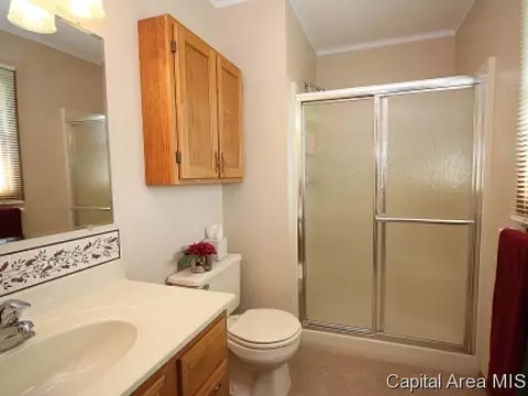 116 Post Rd, Virden, IL 62690 photo 17