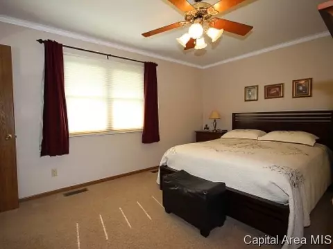 116 Post Rd, Virden, IL 62690 photo 11