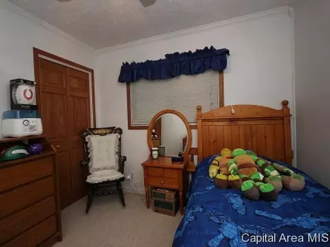 727 Thistle Ridge Rd, Springfield, IL 62707 photo 12