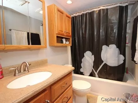 727 Thistle Ridge Rd, Springfield, IL 62707 photo 14