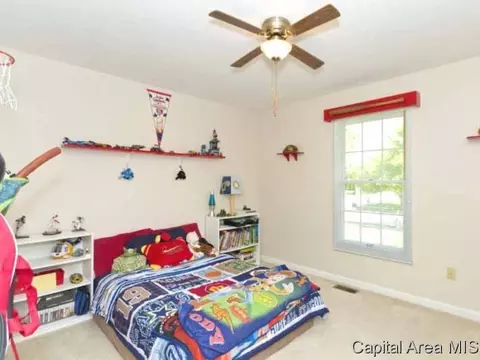 2308 Mallard Pointe Ct, Springfield, IL 62712 photo 17