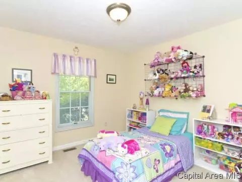 2308 Mallard Pointe Ct, Springfield, IL 62712 photo 18